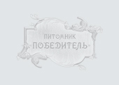 Клубника Альбион (ремонтантная , в комплекте 6шт), art clb25
